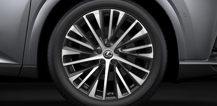 “バージョンL”グレードにはメーカーオプションの21インチホイール(&タイヤ)にダークグレーメタリック塗装+切削光輝が追加設定された。