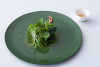 「“緑” 小鳩」