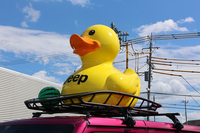 頭上に載った黄色いアヒルは「Jeep」ロゴ入り。よく見るとスイカのビーチボールが添えられている。