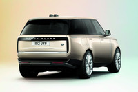 バトゥミゴールド