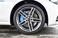 他の「アバンギャルド スポーツ」グレードと同様に19インチのランフラットタイヤを履く。ブルーに塗られたブレーキキャリパーが「E350e」の目印。