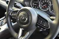 ステアリングホイールのスポーク部には、クルーズコントロールやオーディオの操作スイッチが並ぶ。