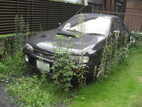 第181回:マリオインプは三度死ぬ