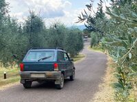 3500本あるオリーブの木の間を回るのにも、「パンダ4×4」を活用する。