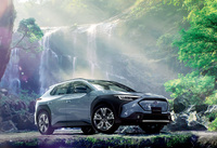 値段だけで考えれば「ソルテラ」も有力だが、いかんせん販売台数が物足りず……。