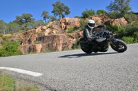 ハスクバーナ・スヴァルトピレン801