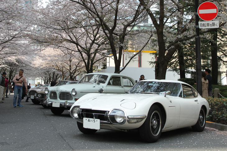 先週の花冷えのおかげで、例年より桜の花が残っていた江戸桜通りに展示された参加車両。中央通り寄りから年式順に並べられており、ここには新車以来の「品川5」のシングルナンバーの付いた1967年「トヨタ2000GT」、同様に「練馬5」ナンバーの付いた通称アマゾンこと1967年「ボルボ122」、1967年「日産シルビア」などの姿が。