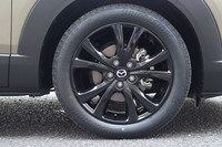 グロスブラックのアルミホイールは、ベース車と同じ10本スポークデザインの18インチサイズ。