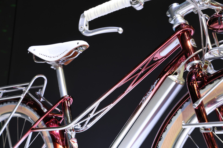 繊細なデザインのツイン構成のトップチューブ。ダウンチューブの下にあるシルバーに輝いている部分が、USB-PDコンバーターにより外出先でも手軽に充電が可能というバッテリー。シートチューブには赤トンボを模したデカールが。