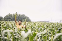 千葉でトウモロコシ畑はめずらしくないが、ハナシマ農園のそれは県内有数の規模。一面に豊かな緑が広がっている。