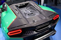 サーキット走行を望むユーザー向けに「アレジェリータ(軽量化)パッケージ」も設定される。乾燥重量1690kgというテメラリオは、このオプションによりボディーコンポーネントだけで12.65kgの軽量化が可能で、軽量インテリアエレメントとカーボンリム、チタンマフラーを装着することで25kg以上も軽くなる。あわせて、空力性能も向上するという。