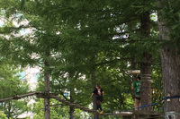 大自然を生かしたレジャーが人気。近年話題の樹上アスレチック体験もできる。