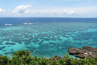 第78回:宮古島からの報告〜サトウキビと“エコ”