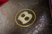 ウエルカムライトにも「センテナリーゴールド」が用いられる。