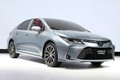 あの人気車種もモデルチェンジ!?2019年の自動車業界はココに注目