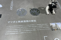 マツダは、微細藻類から燃料を取り出す研究を地元の広島大学と共同で進めている。その名称は「次世代自動車技術共同研究講座 藻類エネルギー創成研究室」である。