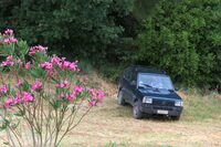 カステッリーナ・イン・キャンティのワイナリー「ラ・クローチェ」の畑にたたずむ「パンダ4×4」。