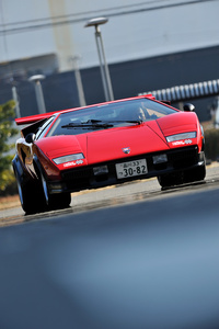 第1回:ランボルギーニ・カウンタックLP500S“ウルフ・カウンタック”の画像