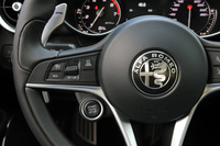 ステアリングホイールに備わる、アダプティブクルーズコントロールの操作パネル。その下に備わる丸いボタンが、イグニッションスイッチである。