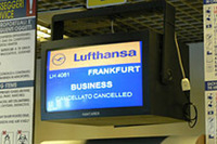 トスカーナのぶどう畑から〜新型ジープ・グランドチェロキー試乗会日記 延長戦の画像