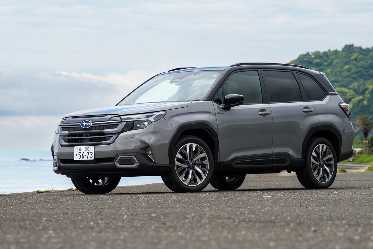 img_5d4f12241c32ff19310c9f1315