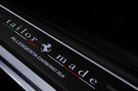 サイドシルに「ALLEGGERITA CARBONIO 35.6」の刻印が入る。