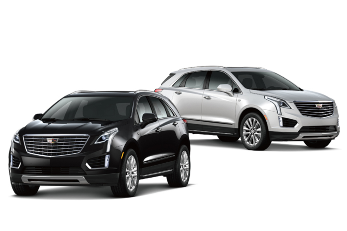 img_677615bb88ff53a0fef79f1269