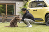 専用アクセサリーでさらに魅力アップ! 人と犬との絆を深める「ルノー・カングー」17