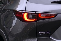 リアコンビランプも、4つのリングで構成される新デザインに変更。