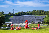 自然な丘陵の傾斜を生かし、トータル発電量2.4MWを誇るメガソーラーを設置しているクルックフィールズ。場内で使用される電力の7〜8割がこの太陽光発電で賄われているという。手前のオブジェは草間彌生の「新たなる空間への道標」。(c)Yayoi Kusama