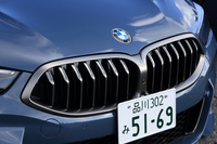 左右一体型の「キドニーグリル」の桟は、ご覧の通りの立体的な造形。内部にはグリルシャッター機能も備えている。