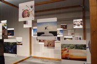 自分にとってここちよい写真を選ぶ、視覚のコーナー。25点の作品の中で、あなたがピックアップするのは?