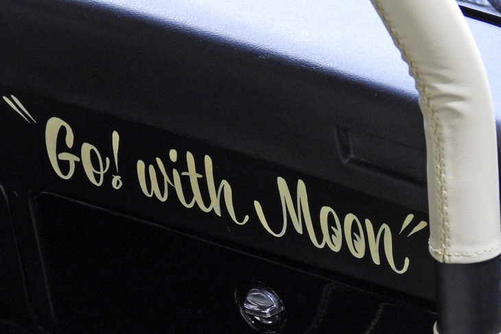 シボレー・ノヴァ(年式不明)