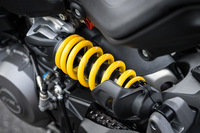 サスペンションは前後ともにSHOWA製で、前がφ43mmの倒立フォーク、後ろがプリロード調整式のモノショックとアルミ製の両持ちスイングアームの組み合わせだ。