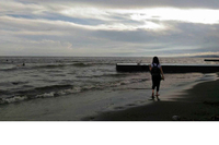 『webCG』スタッフの「2017年○と×」の画像