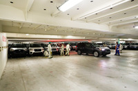 「ギャング」と呼ばれるスタッフによって整然と運び込まれる輸出車両。スタッフの役割は、ここまでのクルマの運搬、現場での駐車、車両の誘導、クルマの固定と、細かく分けられている。