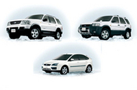 フォード、冬の特別仕様車「ホワイトエッジ」を発売の画像