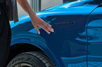 エンブレムはダークカラーでコーディネートされている。