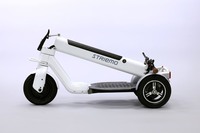 不整地や傾斜にも強いとされる「ストリーモ」は折り畳みもできる。ただ約20kgという重量は、容易に持ち運べるものではない。