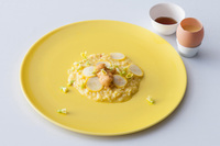 「“黄” 雲丹とサフランのリゾット」