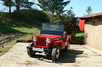 昔のジープはこんなにワイルドだったんですね。これは、CJ2というレアなモデル。