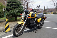 今なお、わが機動部隊の主力として活躍している「トライアンフ・サンダーバードスポーツ」。燃費良し、税金安し、走っても楽しいと三拍子そろった優等生である。誰だ? 「四輪買ったらバイク乗らなくなるよ」って言ってたやつ。