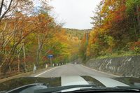 万座・鹿沢口から万座温泉までは、急峻な上り坂の連続となるが、8リッターV10の前にはこの程度の傾斜、無いも同然。「バイパー」は快活に登っていく。