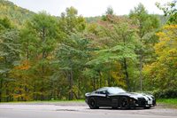 万座ハイウェーの駐車場(チェーン脱着所?)にて。肉眼ではもっと木々の葉が黄色がかっていたのだけど。写真は難しい。