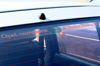 ウィンドウ上端には「’81年イタリア・ラリー選手権チャンピオン」のステッカーが。