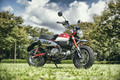 ホンダ・モンキー125＜ABS＞（MR/4MT）【レビュー】