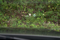 こちらがヘッドアップディスプレイ。メーターも合わせてどこか頼りなげなフォントがシトロエンらしい。