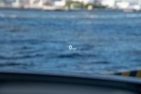 装備類の改良も多岐にわたり、ヘッドアップディスプレイは専用のスクリーンに像を投影するコンバイナタイプから、フロントウィンドウに直接投影するタイプに変更。アダプティブヘッドランプも、より細やかに照射範囲を制御できるよう、4分割式から20分割式に改められた。