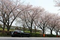 酒の席で車検やタイヤに関する不満を述べたところ、知古の友より「お前、まだあのクルマに乗るつもりなの?」とドン引かれた。なに? 悪い?