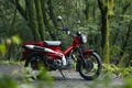 ホンダの新型バイク「CT125ハンターカブ」正式デビュー